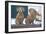 Christmas Dogs-Bruce Dumas-Framed Giclee Print