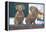 Christmas Dogs-Bruce Dumas-Framed Premier Image Canvas