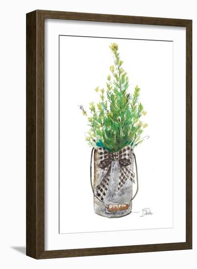 Christmas Fir I-Patricia Pinto-Framed Art Print