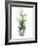 Christmas Fir II-Patricia Pinto-Framed Art Print