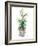 Christmas Fir II-Patricia Pinto-Framed Art Print