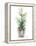 Christmas Fir II-Patricia Pinto-Framed Stretched Canvas