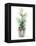 Christmas Fir II-Patricia Pinto-Framed Stretched Canvas