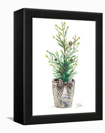 Christmas Fir II-Patricia Pinto-Framed Stretched Canvas