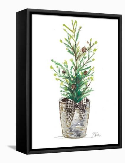 Christmas Fir II-Patricia Pinto-Framed Stretched Canvas