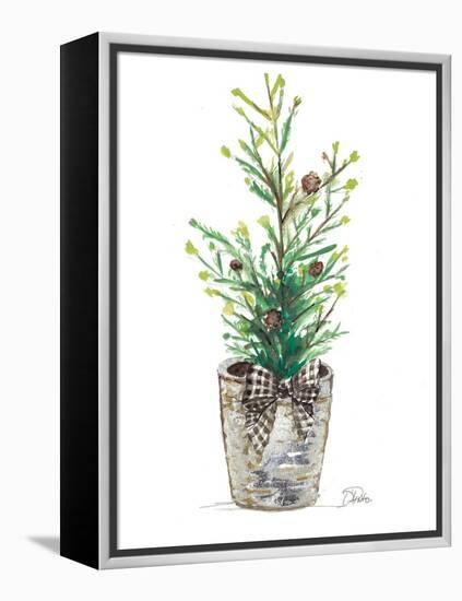 Christmas Fir II-Patricia Pinto-Framed Stretched Canvas