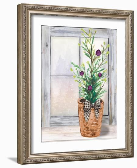 Christmas Fir on Window-Patricia Pinto-Framed Art Print