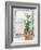 Christmas Fir on Window-Patricia Pinto-Framed Art Print