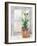 Christmas Fir on Window-Patricia Pinto-Framed Art Print