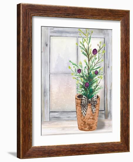 Christmas Fir on Window-Patricia Pinto-Framed Art Print