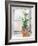 Christmas Fir on Window-Patricia Pinto-Framed Art Print