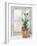 Christmas Fir on Window-Patricia Pinto-Framed Art Print