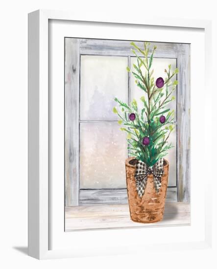 Christmas Fir on Window-Patricia Pinto-Framed Art Print