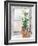 Christmas Fir on Window-Patricia Pinto-Framed Art Print