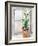 Christmas Fir on Window-Patricia Pinto-Framed Art Print