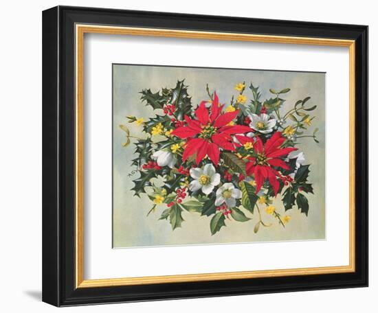 Christmas Flowers-Albert Williams-Framed Giclee Print