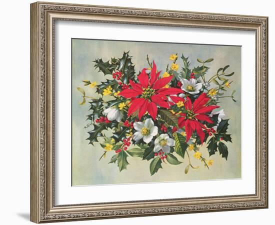 Christmas Flowers-Albert Williams-Framed Giclee Print