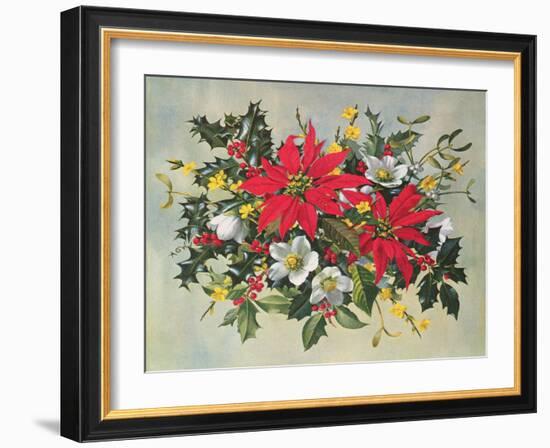 Christmas Flowers-Albert Williams-Framed Giclee Print