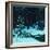 Christmas In the Forest-Stan Galli-Framed Giclee Print