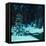 Christmas In the Forest-Stan Galli-Framed Premier Image Canvas