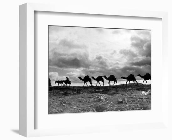 Christmas in the Holyland; a Camel Train on the Road to Jeruselem Palestine-null-Framed Photographic Print