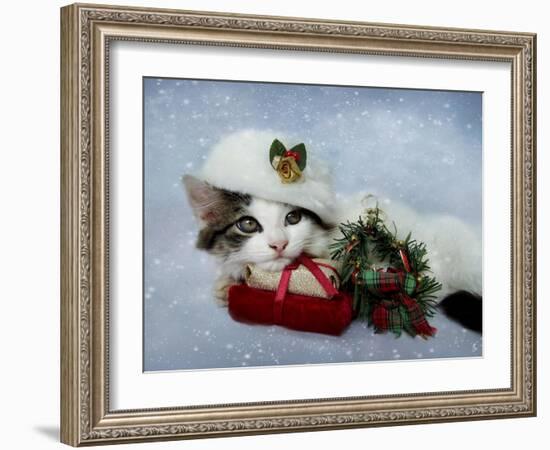 Christmas Kitten in the Snow-Jai Johnson-Framed Giclee Print
