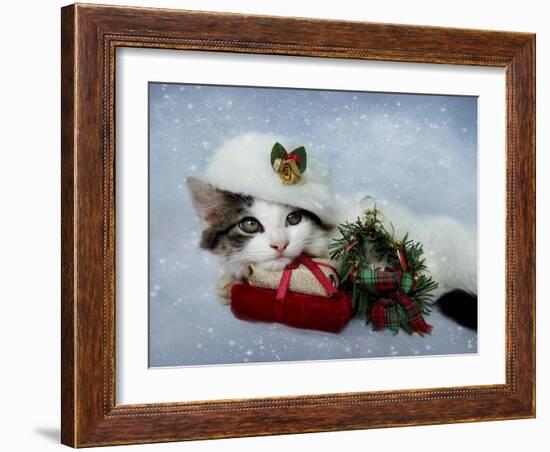 Christmas Kitten in the Snow-Jai Johnson-Framed Giclee Print