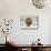 Christmas Labrador-Tina Nichols-Mounted Giclee Print displayed on a wall