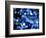 Christmas Lights, Tokyo, Japan-Rob Tilley-Framed Photographic Print