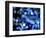 Christmas Lights, Tokyo, Japan-Rob Tilley-Framed Photographic Print