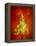 Christmas Lights-Lawrence Lawry-Framed Premier Image Canvas