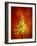 Christmas Lights-Lawrence Lawry-Framed Photographic Print