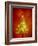 Christmas Lights-Lawrence Lawry-Framed Photographic Print