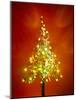 Christmas Lights-Lawrence Lawry-Mounted Photographic Print