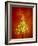 Christmas Lights-Lawrence Lawry-Framed Photographic Print