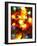 Christmas Lights-Randy Faris-Framed Photographic Print