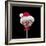 Christmas Lolly-Assaf Frank-Framed Giclee Print