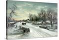 Stretched Canvas Print