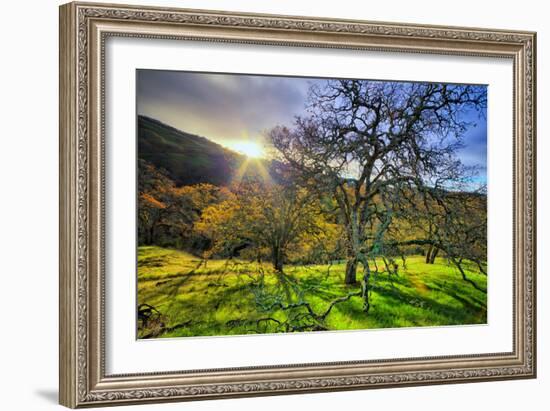 Christmas Morning Light at Mount Diablo, San Francisco Bay Area-Vincent James-Framed Photographic Print