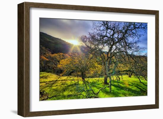 Christmas Morning Light at Mount Diablo, San Francisco Bay Area-Vincent James-Framed Photographic Print