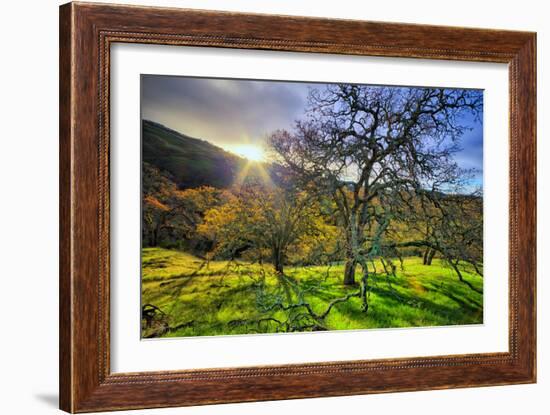 Christmas Morning Light at Mount Diablo, San Francisco Bay Area-Vincent James-Framed Photographic Print