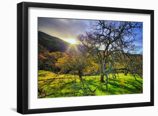 Christmas Morning Light at Mount Diablo, San Francisco Bay Area-Vincent James-Framed Photographic Print