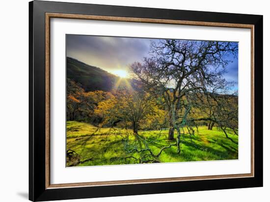 Christmas Morning Light at Mount Diablo, San Francisco Bay Area-Vincent James-Framed Photographic Print