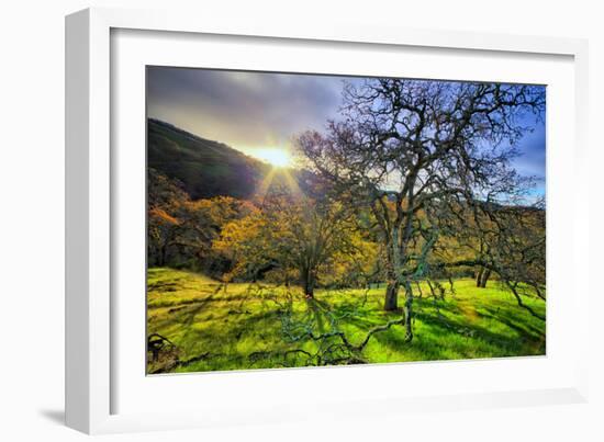 Christmas Morning Light at Mount Diablo, San Francisco Bay Area-Vincent James-Framed Photographic Print