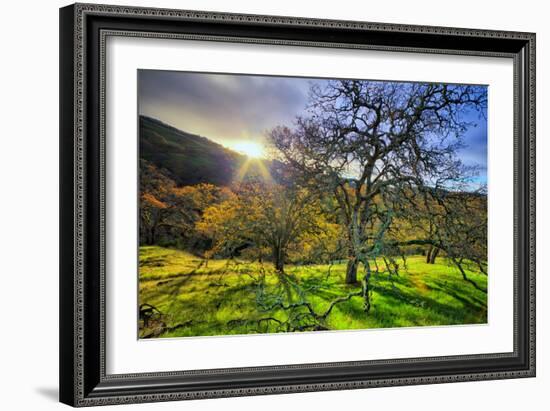 Christmas Morning Light at Mount Diablo, San Francisco Bay Area-Vincent James-Framed Photographic Print