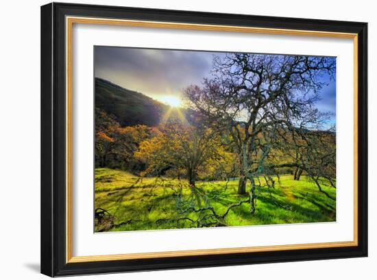 Christmas Morning Light at Mount Diablo, San Francisco Bay Area-Vincent James-Framed Photographic Print