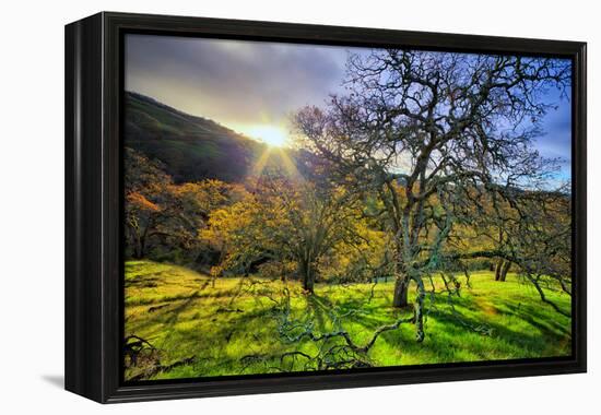 Christmas Morning Light at Mount Diablo, San Francisco Bay Area-Vincent James-Framed Premier Image Canvas