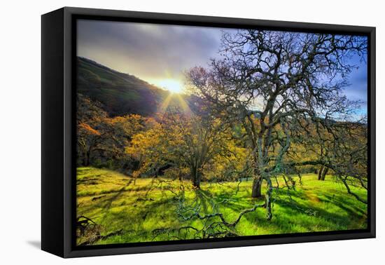 Christmas Morning Light at Mount Diablo, San Francisco Bay Area-Vincent James-Framed Premier Image Canvas