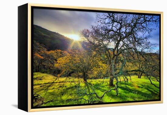 Christmas Morning Light at Mount Diablo, San Francisco Bay Area-Vincent James-Framed Premier Image Canvas