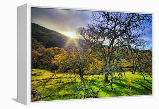 Christmas Morning Light at Mount Diablo, San Francisco Bay Area-Vincent James-Framed Premier Image Canvas